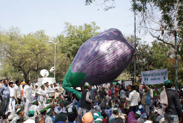 Delhi-inflatable BT-Brinjal 2013